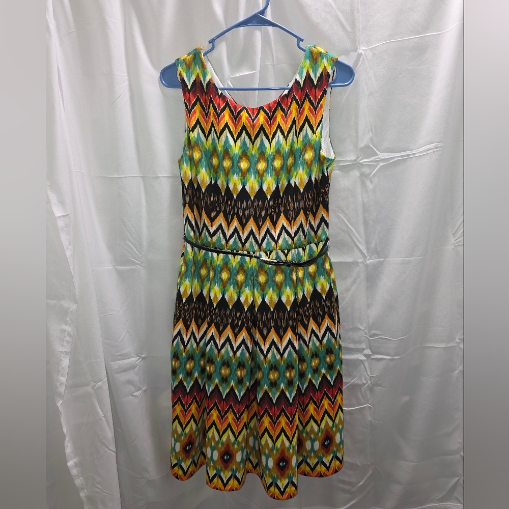 Ellen Tracy Colorful Chevron Maxi Dress